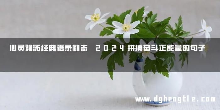 心灵鸡汤经典语录励志 2024拼搏奋斗正能量的句子